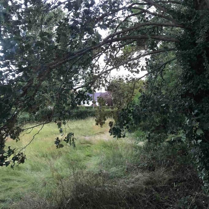Priory Meadow Cottage Long Bennington 外观 照片