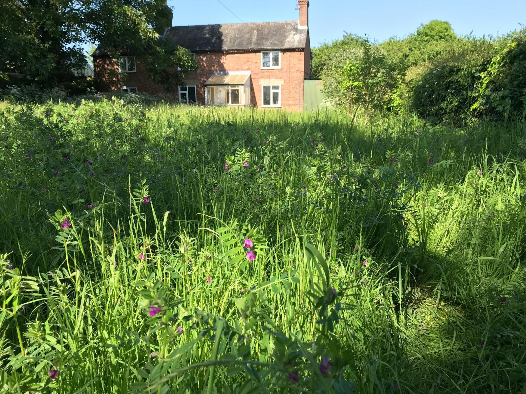 Priory Meadow Cottage Long Bennington 外观 照片